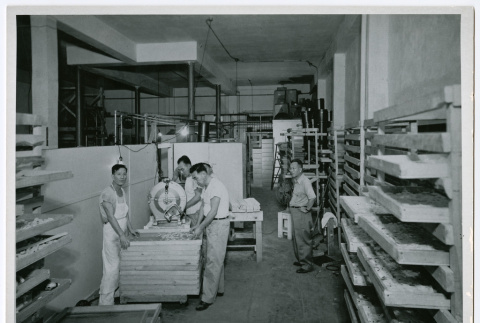 Men loading drying racks (ddr-densho-499-57)
