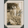 Woman standing in field (ddr-densho-316-222)