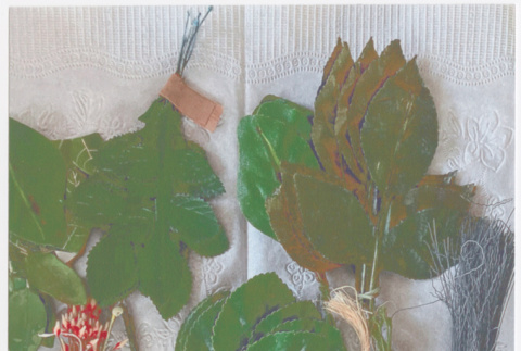 Fake leaves (ddr-densho-539-159)