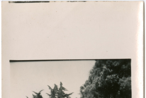 Man laying in field (ddr-densho-426-2449)