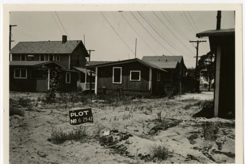 Back of houses on Terminal Island (ddr-csujad-43-231)