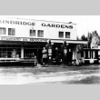 Bainbridge Gardens (ddr-densho-34-1)