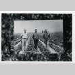 [Farmers in an agricultural field] (ddr-csujad-29-235)