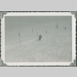 Slalom skiiing (ddr-densho-321-427)