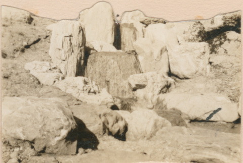 Boulders in a garden (ddr-densho-377-181)