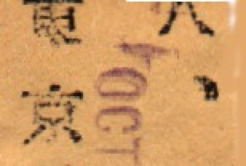 Back (ddr-njpa-4-2470-master-c146c6345a)