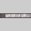 Negative film strip for Farewell to Manzanar scene stills (ddr-densho-317-91)