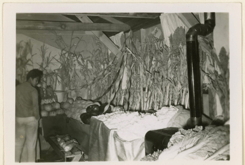 Vegetables on display (ddr-densho-37-1232)