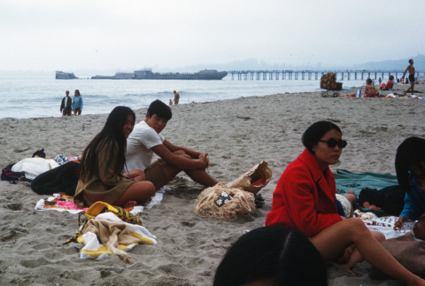 Group on the beach (ddr-densho-336-166)