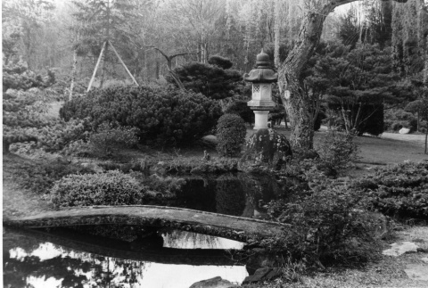 Concrete Bridge in the Japanese Garden (ddr-densho-354-1495)