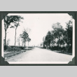 Dirt road (ddr-densho-471-12)