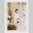 Photo of a child sitting in front of a brick wall (ddr-densho-483-742)