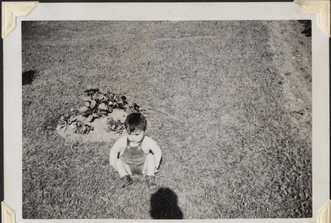 Boy sitting on lawn (ddr-densho-466-917)