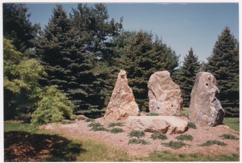 Rock feature (ddr-densho-377-2437)