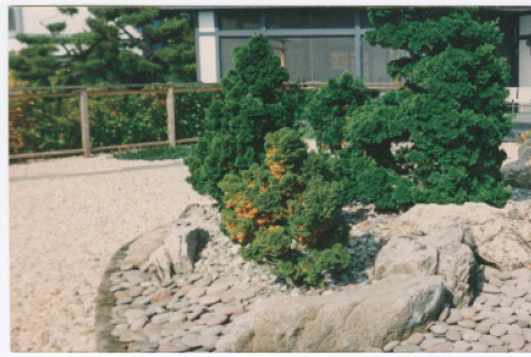 Straus garden project (ddr-densho-377-3024)