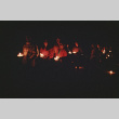 Candlelight service on the last night of camp (ddr-densho-336-1621)