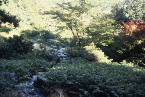 Looking down stream on Mountainside (ddr-densho-354-2047)