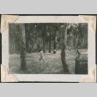 Children play among trees (ddr-densho-321-222)