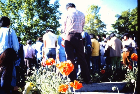 A memorial ceremony at Linkville Cemetery (ddr-densho-294-19)