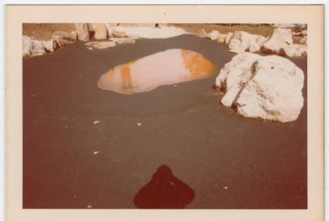Pond (ddr-densho-377-2215)
