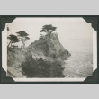 Midway Point Lone Cypress (ddr-densho-378-111)
