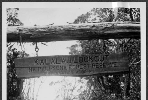 Kalalau Lookout (ddr-densho-363-178)