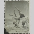 Japanese American soldiers doing headstands on a beach (ddr-densho-201-399)