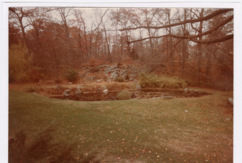 Pond (ddr-densho-377-2048)