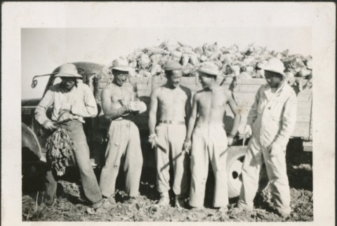 Harvesting beets (ddr-densho-298-40)