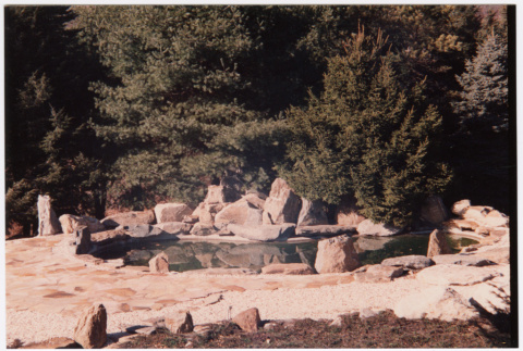 Pool (ddr-densho-377-1922)