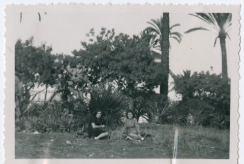 Two women sitting in park (ddr-densho-368-238)