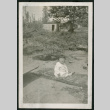 Child in front of garden (ddr-densho-359-785)