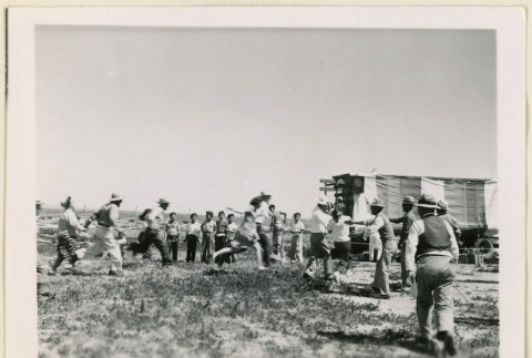 Playing games at a picnic (ddr-densho-37-1076)