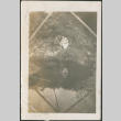 Woman by pond (ddr-densho-316-301)
