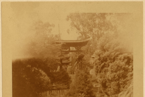 View of a garden (ddr-densho-542-33)