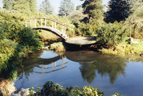 Moon Bridge and pond, before new bridge (ddr-densho-354-786)