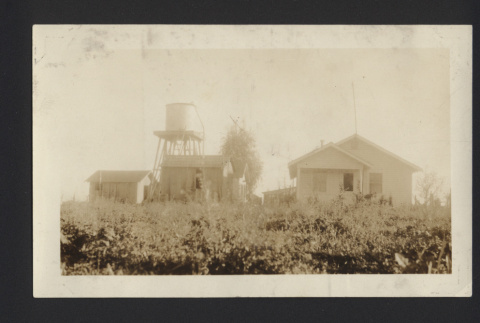 Photograph of Issei farm in Florin, California (ddr-csujad-55-2620)
