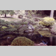 Pond in the Japanese Garden (ddr-densho-354-1487)