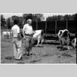 William Kochiyama and Robert H. Foote with cows (ddr-densho-1007-1360)