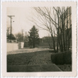 Rock garden with trees (ddr-densho-377-2154)