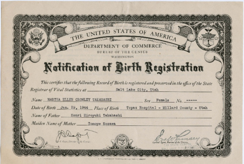 Certificate for Birth Registration (ddr-densho-410-20)