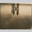 Family of four silhouetted on beach (ddr-densho-523-50)
