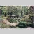 House with garden (ddr-densho-377-1973)