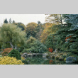Japanese Garden (ddr-densho-354-1032)