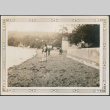 People on beach (ddr-densho-316-261)