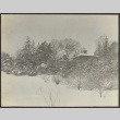Snowy scene (ddr-densho-355-729)