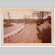 Landscaping along road (ddr-densho-377-2192)