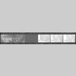 Negative film strip for Farewell to Manzanar scene stills (ddr-densho-317-173)