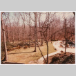 Completed landscaping (ddr-densho-377-2536)