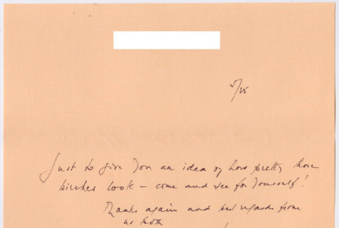 Letter from Mark to Kaneji Domoto, with photo and envelope (ddr-densho-377-3032)
